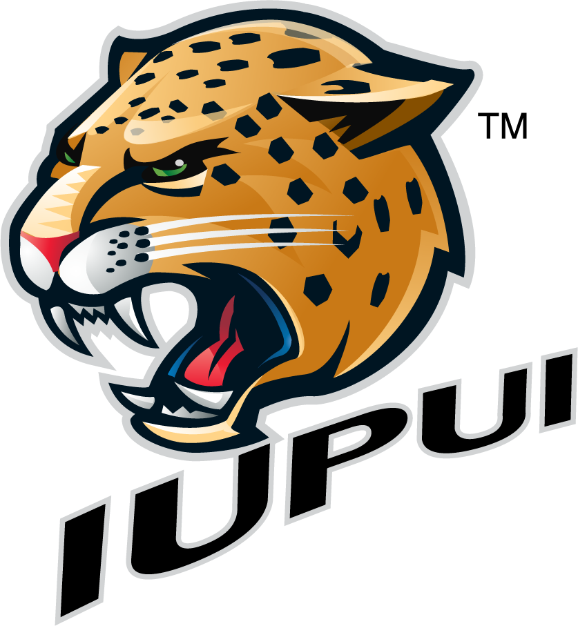 IUPUI Jaguars 2007-2017 Secondary Logo v3 iron on transfers for T-shirts